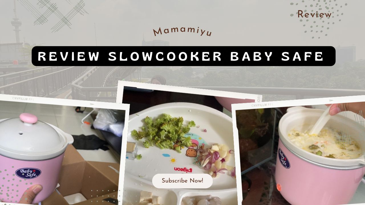 Review Slow cooker Baby Safe Aliviyakr